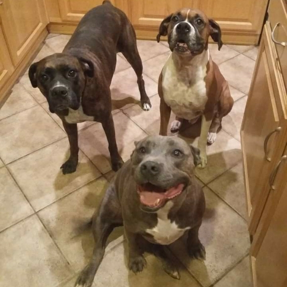 Halloween Party with @1605closet and Myself 🎃🤪🎉 Monday 6th - Picture 5 of 15